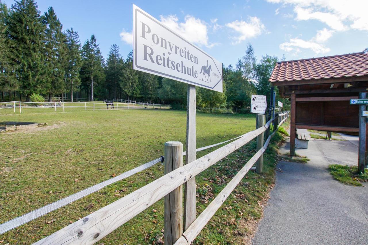 Charmante Ferienwohnung Mit Sauna Und Schwimmbad Im Zauberhaften Bayerischen Wald Sankt Englmar Dış mekan fotoğraf